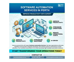 Professional Business Automation Services in Perth