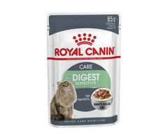 Royal Canin Digest Care Adult Wet Cat Food in Gravy