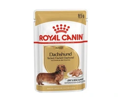Royal Canin Dachshund Adult Wet Dog Food Pouches