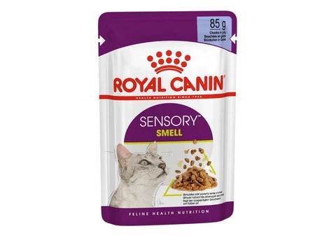 Royal Canin Sensory Smell in Jelly Adult Wet Cat Food
