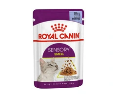 Royal Canin Sensory Smell in Jelly Adult Wet Cat Food