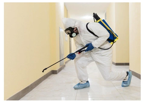 Pest Control Hope Island – Reliable Services for Homes & Businesses