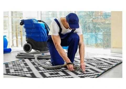 Burwood Carpet Cleaning Services for Homes and Offices Today