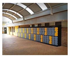 Durable and Stylish Outdoor Storage Lockers