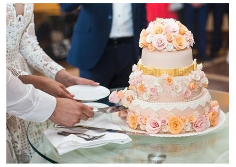 Creative Novelty Cakes North Brisbane – Custom Designs for Every Celebration