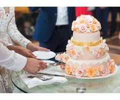 Creative Novelty Cakes North Brisbane – Custom Designs for Every Celebration