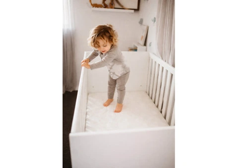 Best Waterproof Cot Mattress for Easy Cleaning !