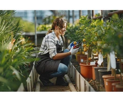 Expert Agricultural Consulting for Sustainable Farming