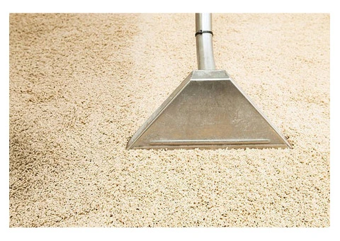 Most Trusted Carpet Steam Cleaning for Long Lasting Freshness
