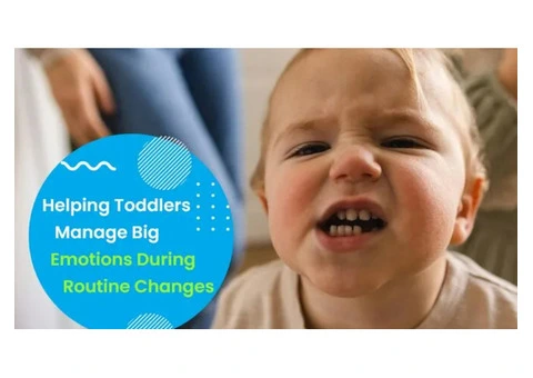 Helping Toddlers Manage Big Emotions with Child Care Nollamara