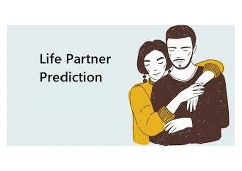 Plan Your Marriage Journey with Expert Insights