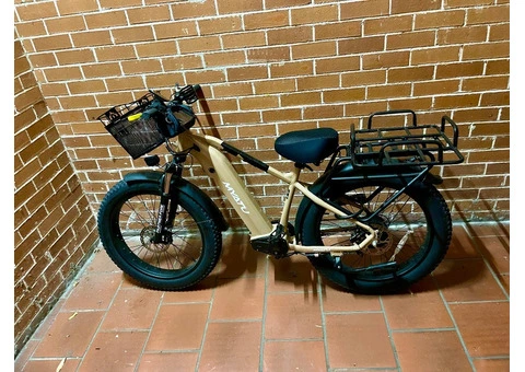 Beach Bike for Sale - $1499 - 4/7