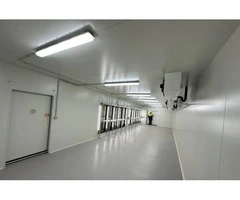 Electrician Fremantle
