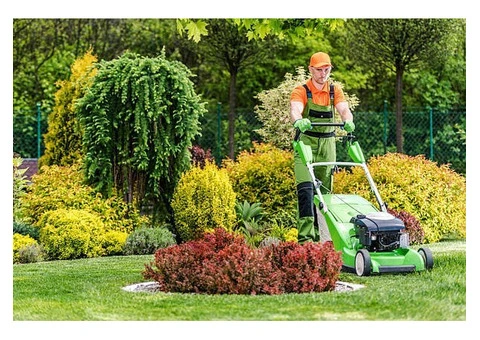 Cheap Landscaping Mistakes Can Ruin Your Property Appeal - 2/6