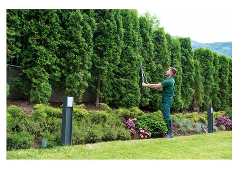 Cheap Landscaping Mistakes Can Ruin Your Property Appeal - 3/6