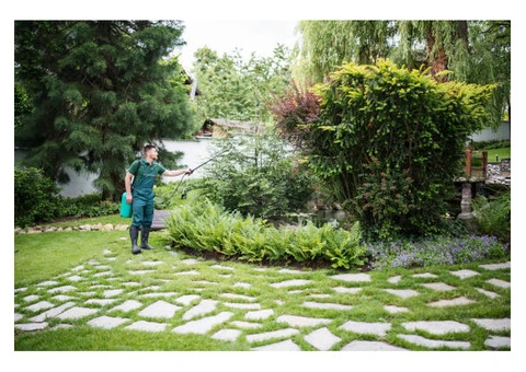 Cheap Landscaping Mistakes Can Ruin Your Property Appeal - 5/6