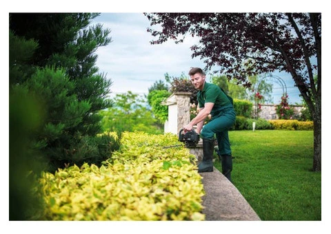 Cheap Landscaping Mistakes Can Ruin Your Property Appeal - 6/6