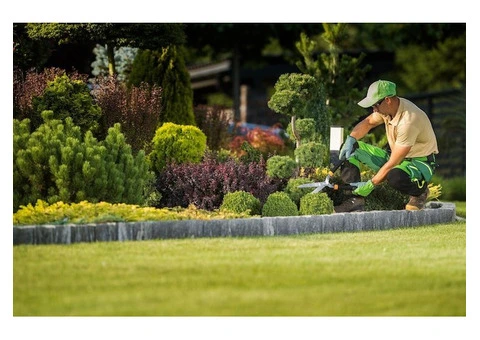 Transform Your Yard with Landscaping Services in Hallam