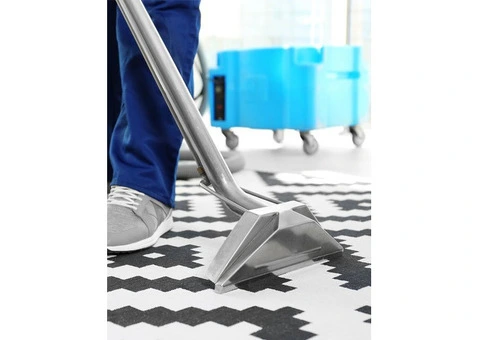 Carpet Steam Cleaning for Fresh, Spotless Homes