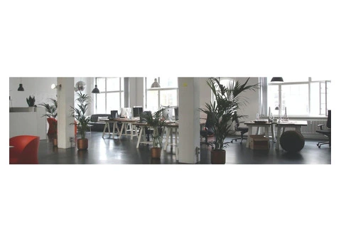 House Cleaning Castle Hill | Professional & Reliable Service - 4/4