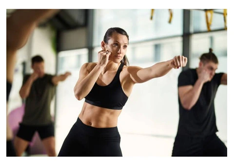 Top-Rated Kickboxing Training with Expert Coaches