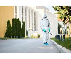 Pest Control Pimpama – Reliable Solutions for Homes & Businesses