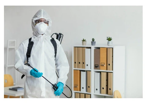 Pest Control Oxenford – Reliable Solutions for Homes & Businesses