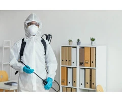Pest Control Oxenford – Reliable Solutions for Homes & Businesses