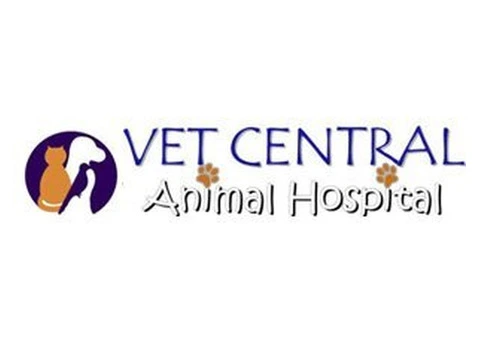 Need a Dependable Earlwood Vet for Your Pet’s Health? - 1/8