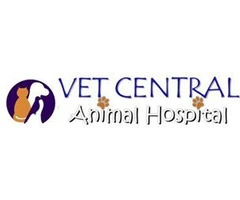 Need a Dependable Earlwood Vet for Your Pet’s Health?