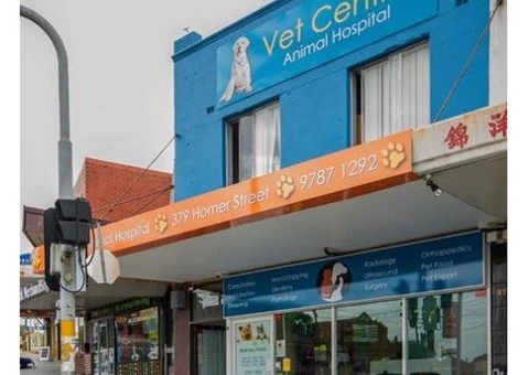 Need a Dependable Earlwood Vet for Your Pet’s Health? - 2/8