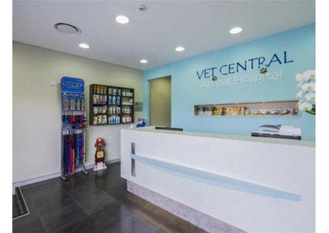 Need a Dependable Earlwood Vet for Your Pet’s Health? - 4/8