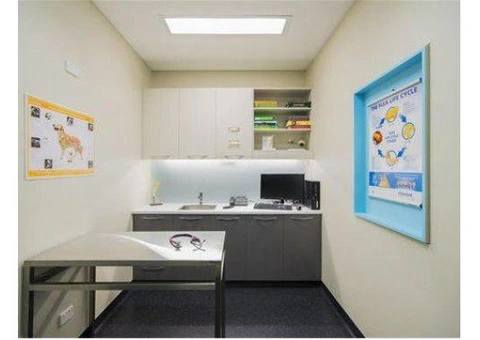 Need a Dependable Earlwood Vet for Your Pet’s Health? - 5/8