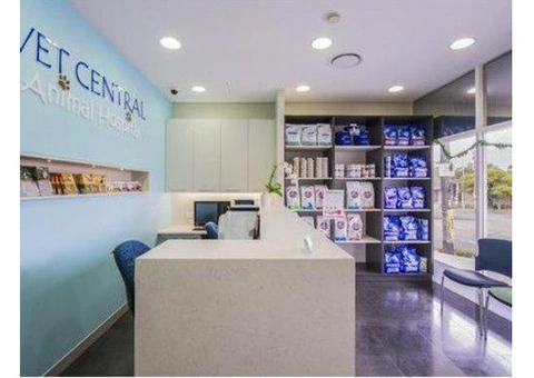 Need a Dependable Earlwood Vet for Your Pet’s Health? - 6/8