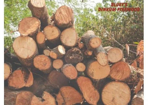 Reliable Firewood Delivery in Shellharbour