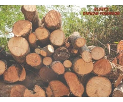 Reliable Firewood Delivery in Shellharbour