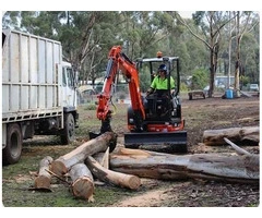 Commercial tree management solutions