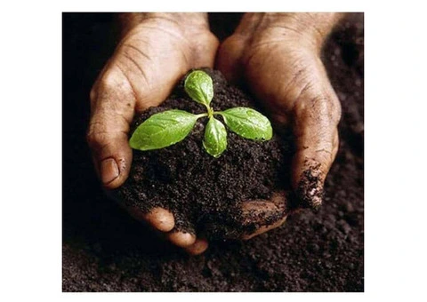How Organic Slow Release Fertiliser Supports Lasting Soil Health