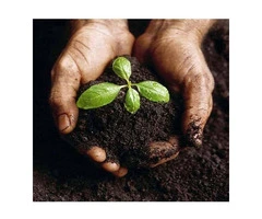 How Organic Slow Release Fertiliser Supports Lasting Soil Health