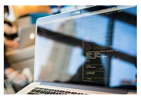 Microsoft Power Platform Developers: Skills, Roles & Opportunities