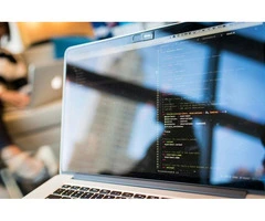 Microsoft Power Platform Developers: Skills, Roles & Opportunities