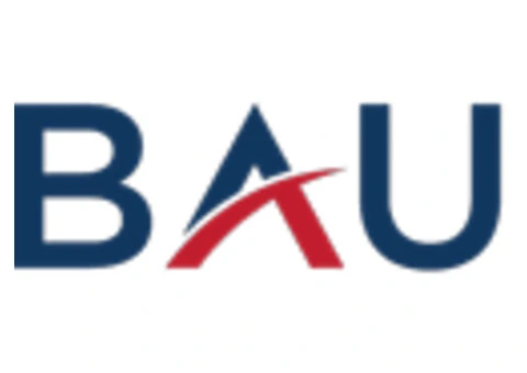 BAU Risk Services