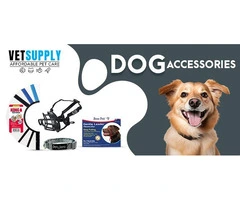 Dog Accessories