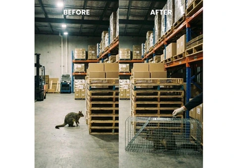 Fresh Possum Specialist Melbourne - 6/7
