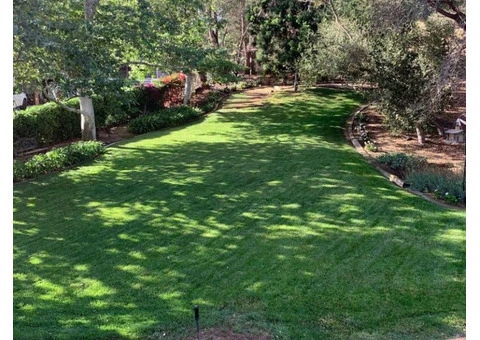 Landscaping Gardener Sydney - 4/11