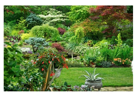Landscaping Gardener Sydney - 6/11