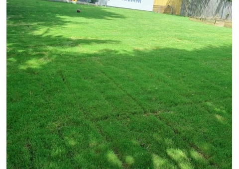 Landscaping Gardener Sydney - 9/11