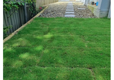 Landscaping Gardener Sydney - 10/11