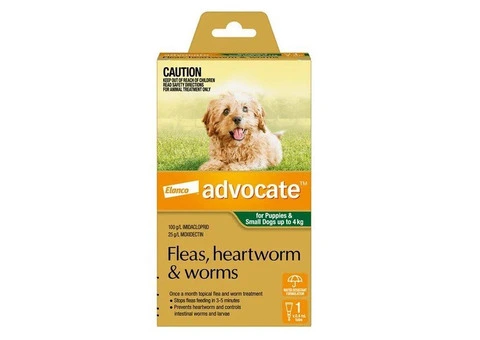 Advocate For Dogs