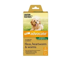 Advocate For Dogs